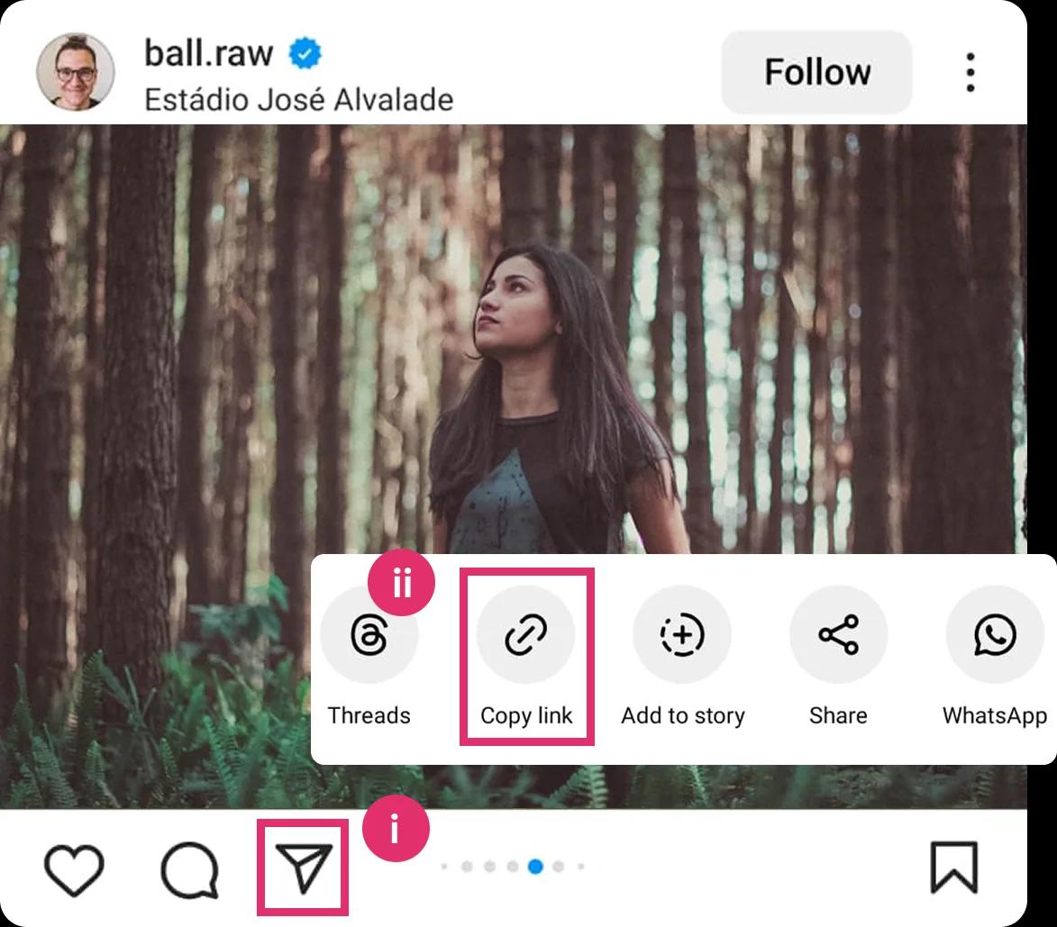 instagram profile viewer step by step-1